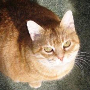 Shasta Claire, aka Stinky LaRue:  ? – July 14, 2011