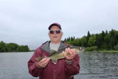 wayne walleye