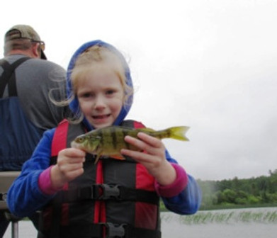 Tricias perch