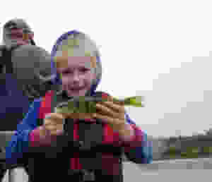 Tricias perch