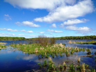 rachels scenery1