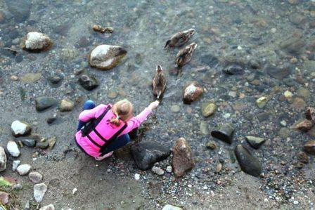 triciafeedingducks
