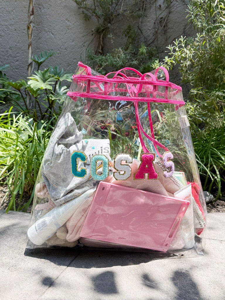 Miniatura: Tote transparente