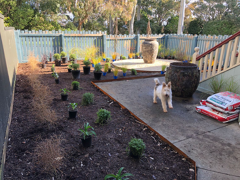 garden design plant layout