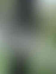 Outdoor enclosure with Ubiquiti POE++ Network Switch | Dallas, Texas