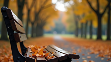 Bench in a park with autum leaves falling in the background