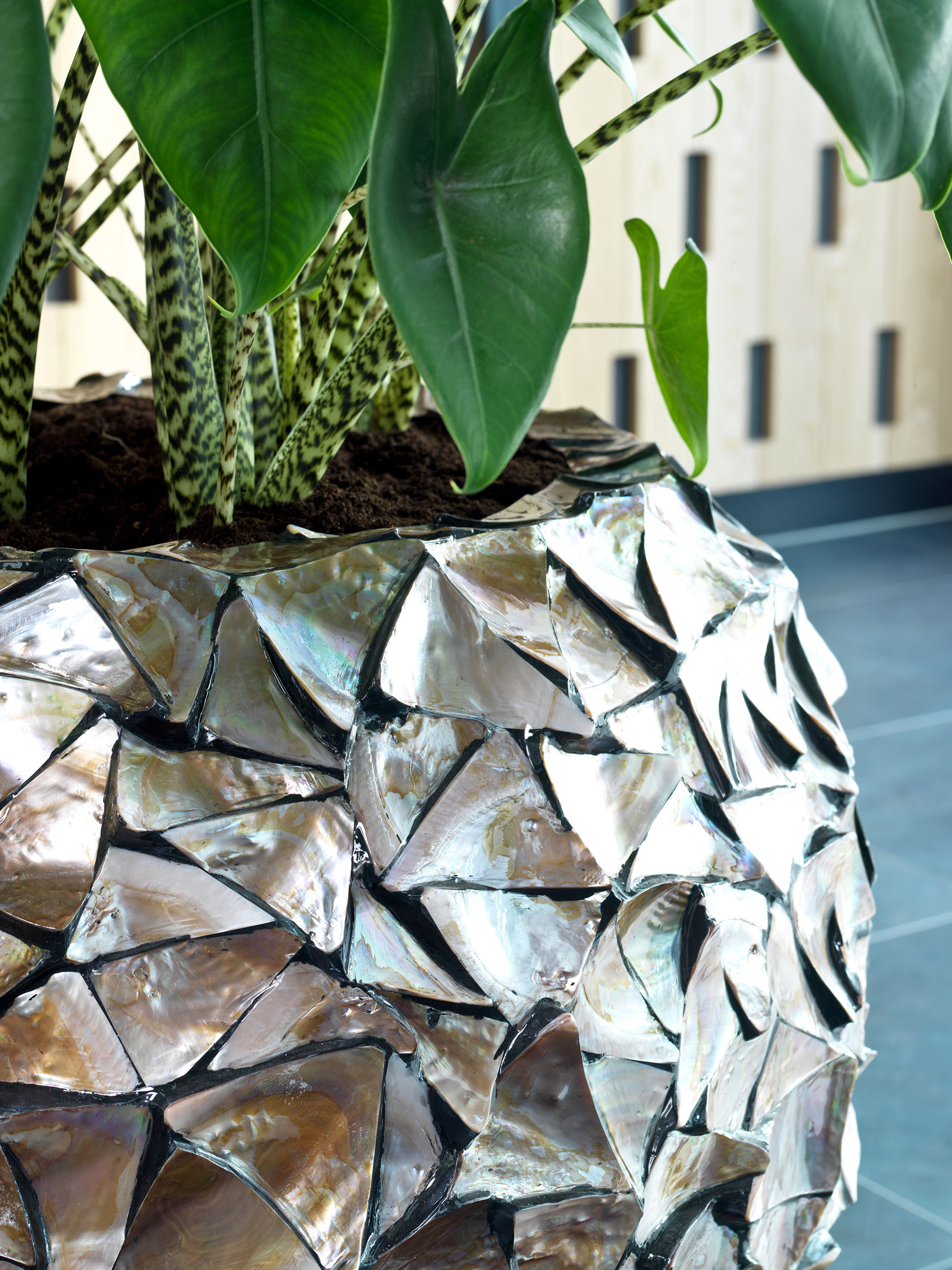 Shell Mother Of Pearl Brown Globe