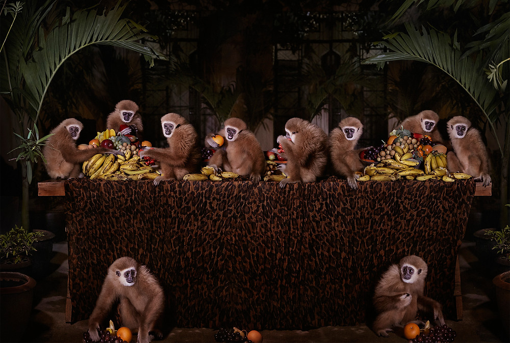 Photo Lar Gibons at dinner table