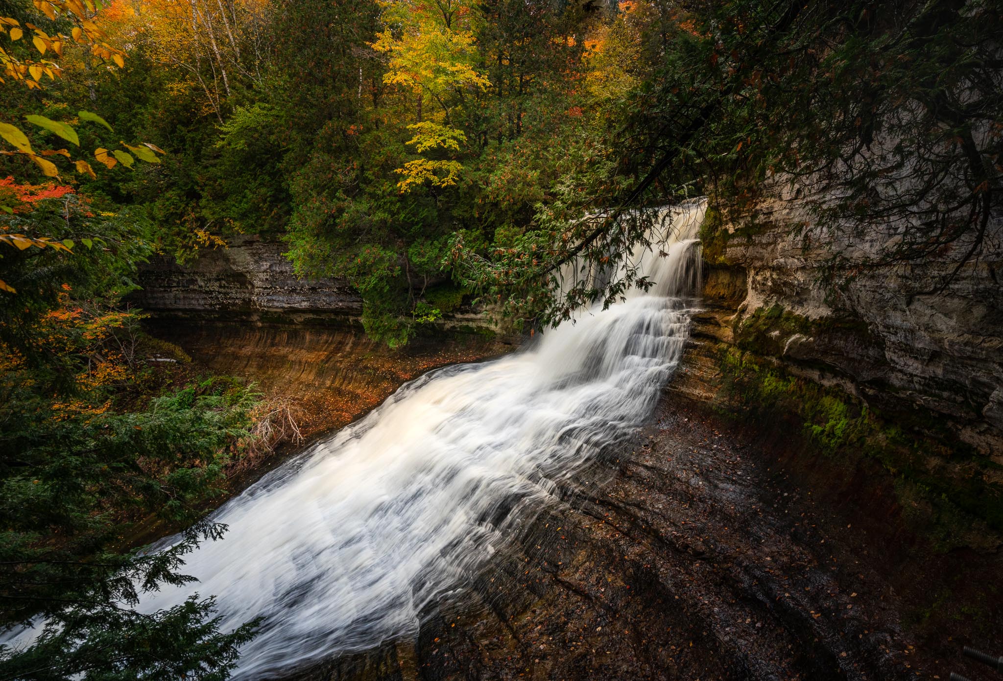 jenn mishra photography landscape close up