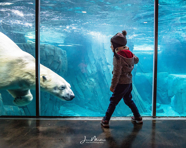 Photo A Day at the Zoo