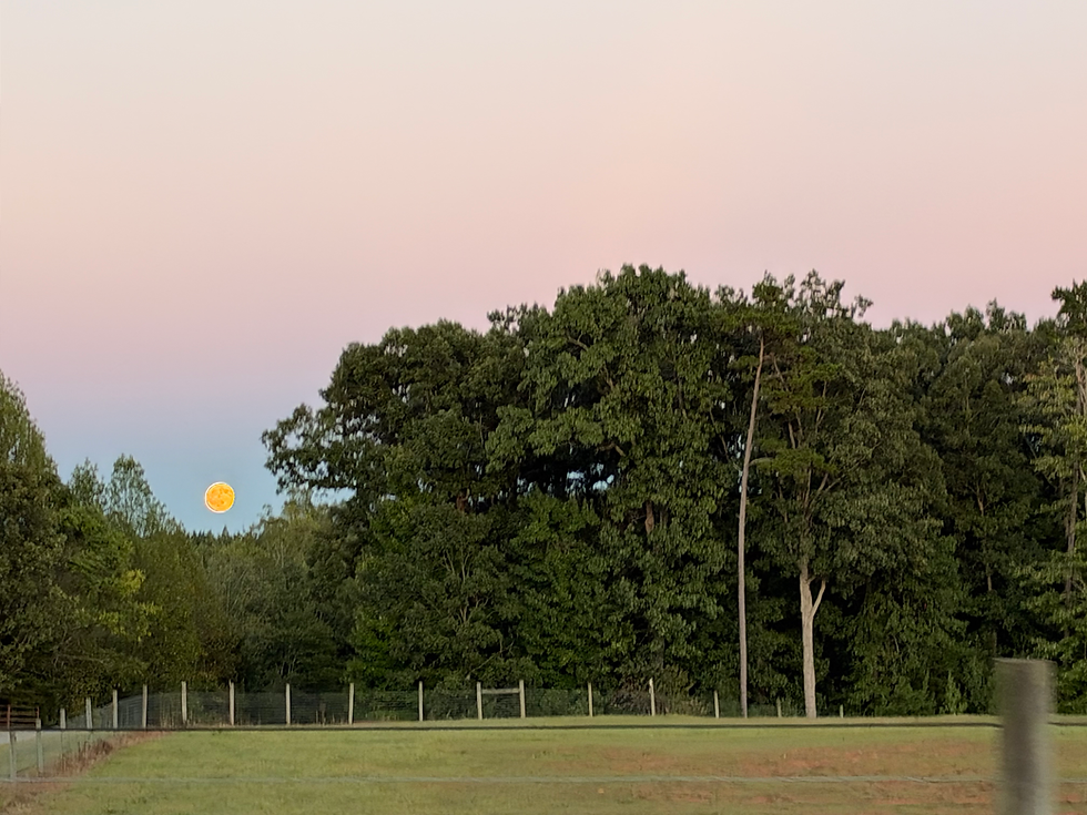 Happy Fall from all of us at The Vineyard Camp!