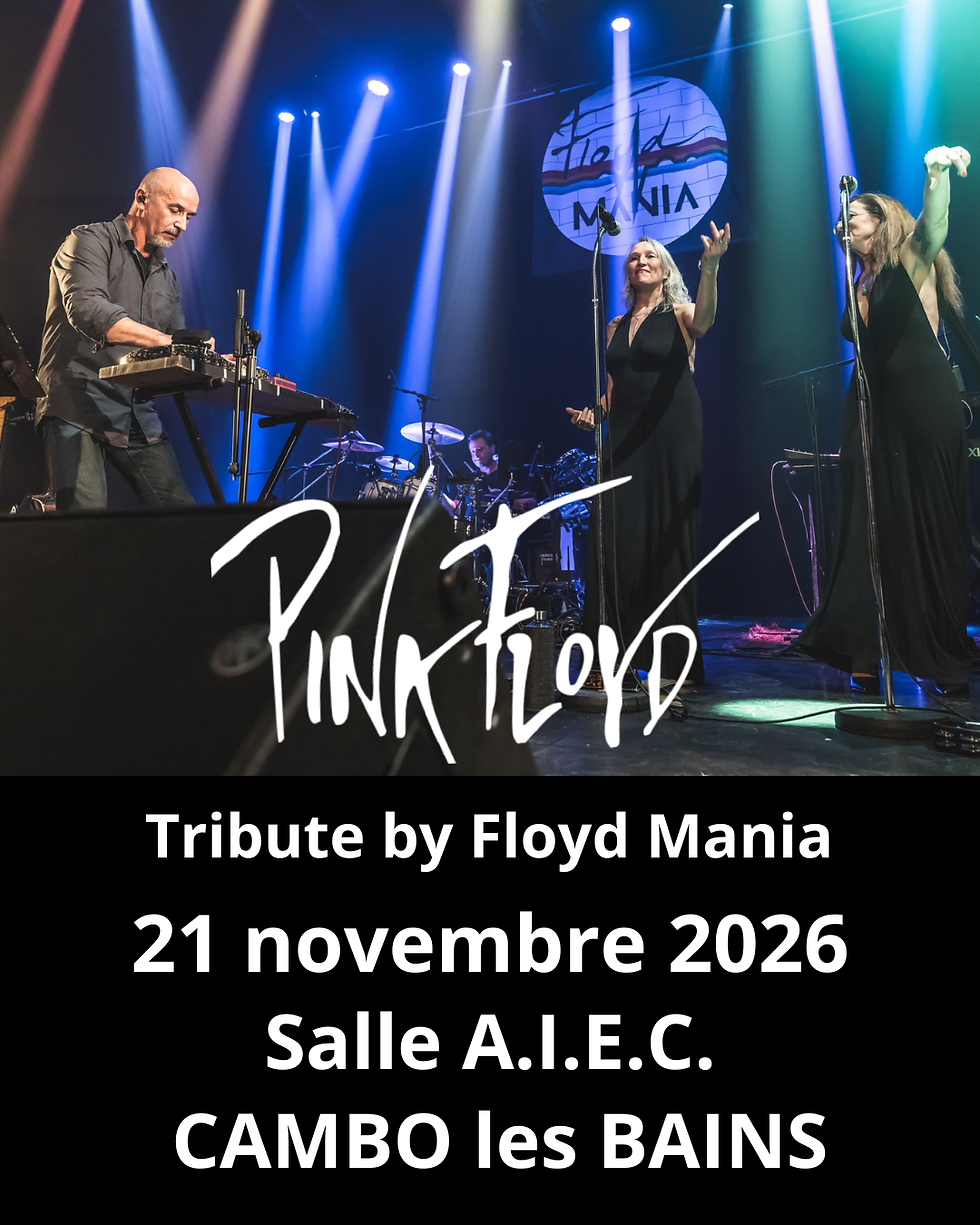 Concert PINK FLOYD