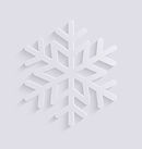 Motif flocon de neige blanc