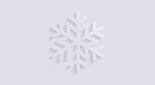 gris flocon de neige