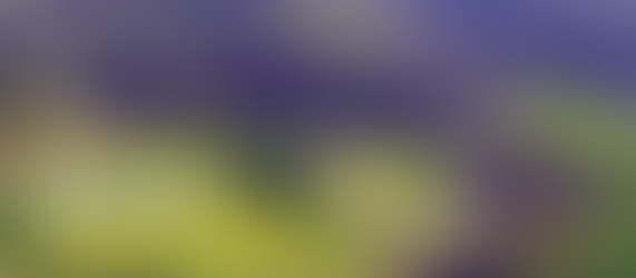 Salita della Cadalora: il ponte tra Val Tramigna e Val d’Illasi 