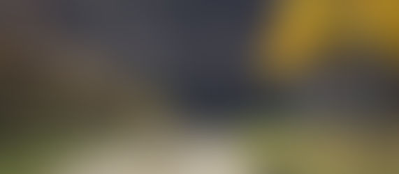 Tutte le opportunità ...