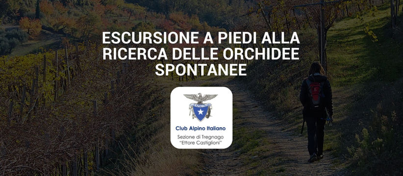 Scopri le colline di Tregnago: escursione guidata alla ricerca delle orchidee spontanee