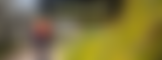 Grazie a tutti e arrivederci al 25 marzo 2018!