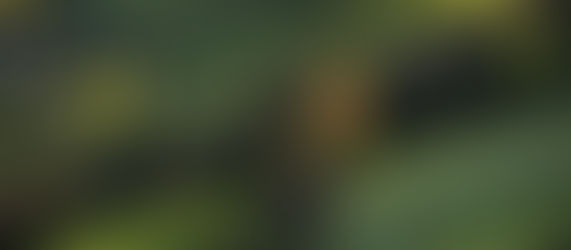 Iscrizioni aperte e pubblicata la Ranking List!