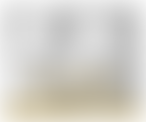 Os 6 Segredos sobre reclamação de clientes. A solução: cliente oculto.