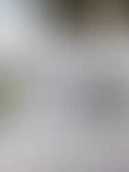 Happy Thanksgiving!