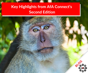 Key Highlights from AfA Connect’s Second Edition