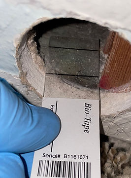 Mold testing by Tyva Home Inspections