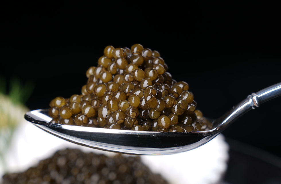 Discover the Rich Flavors of Aurora Caviar