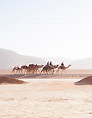 JORDANCAMELS.jpg