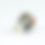 Thumbnail: Miyu Kurihara x Yuta Segawa "Pheasant and camellia"Medium