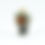 Thumbnail: Miyu Kurihara x Yuta Segawa "Pheasant and camellia"Medium