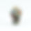 Thumbnail: Miyu Kurihara x Yuta Segawa "Pheasant and camellia"Medium