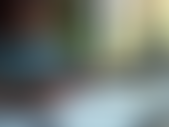 State of Paraná UX/UI Designer Showcasing Emotional Design