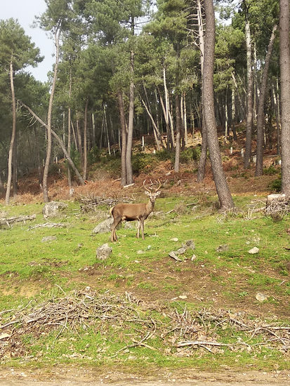 IMG_20201229_105545.jpg