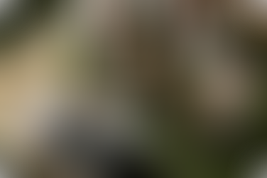 Un produit performant et utile : Station Deus est née de la nécessité d'un véritable bar à cocktails.