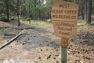 sign with a forest on the background