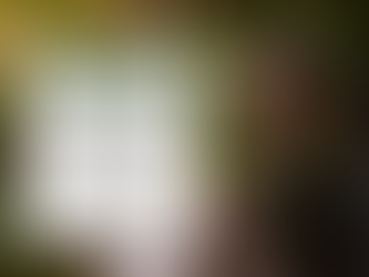 Understanding Everyday Toxins