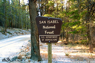 sign with a forest road on the background