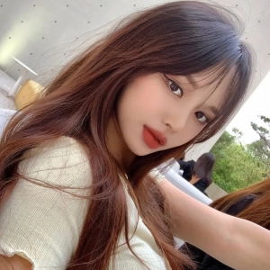 d2bfd358255f162a19ddf4a75c95320a.webp