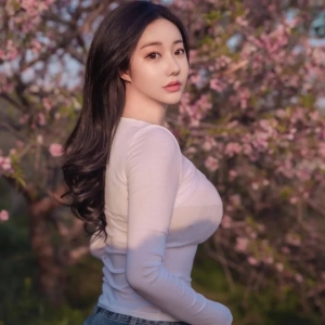 53a3c53c6e96cc24055a80103227d208.webp