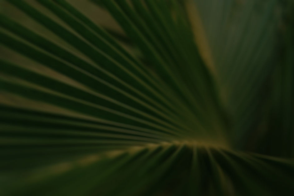 lala-azizli-y7HzAoX7a7o-unsplash_edited.jpg