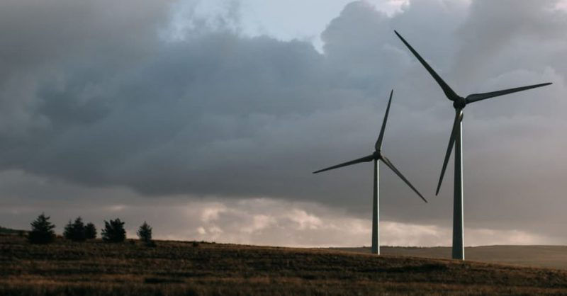 proteccion del medio ambiente