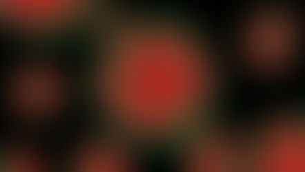 Protocolo de limpieza y desinfección para hoteles ante el Covid-19 