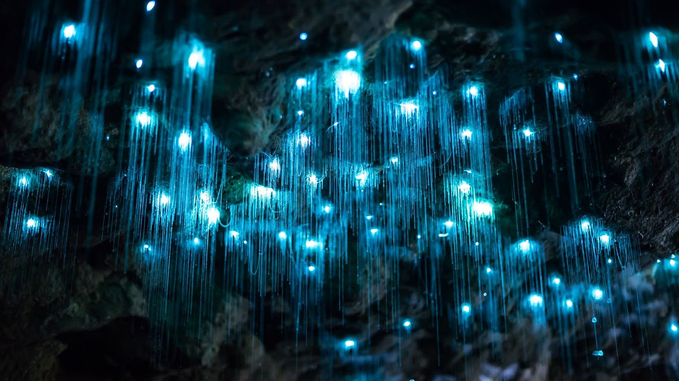 Blinking Lights: What has your attention?