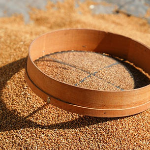 Sifting Season