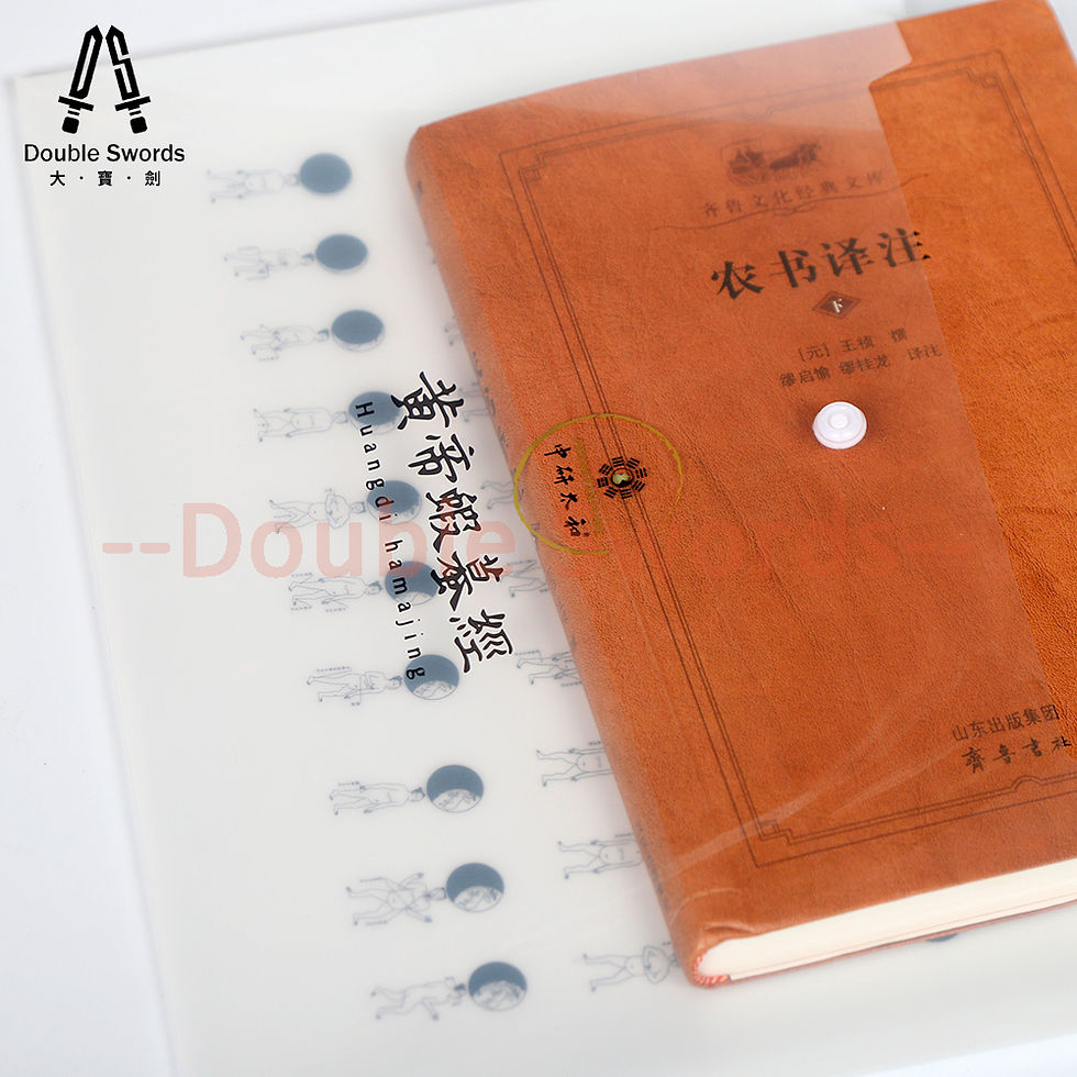 Thumbnail: ZYTH File Bag (Huangdi Hamajing)