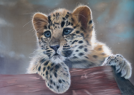 Amur leo low res.tif