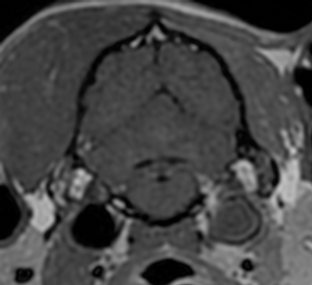 Screenshot 2025-12-03 at 7.53.18 AM.png