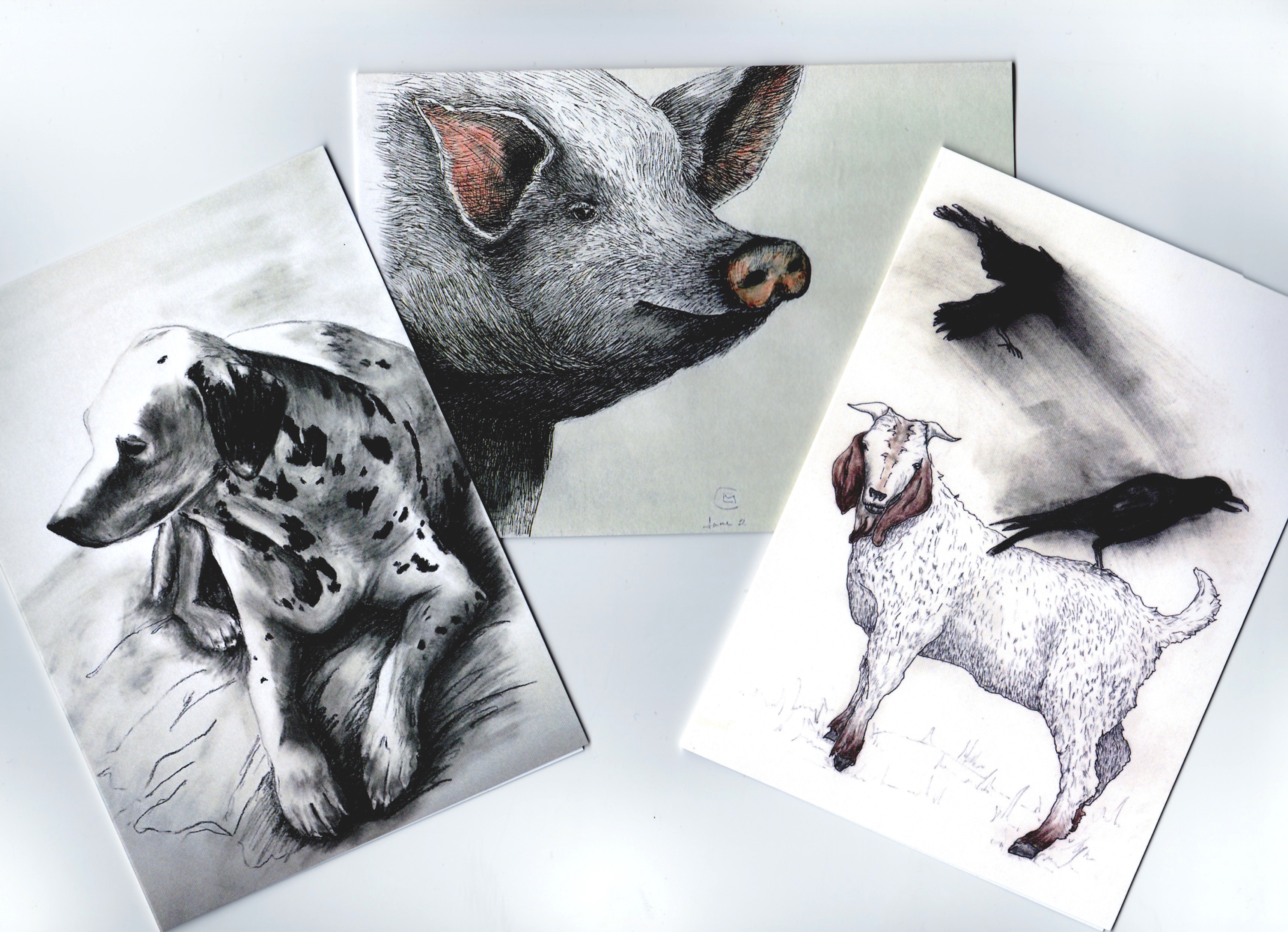 Set of three Notecards- Animals