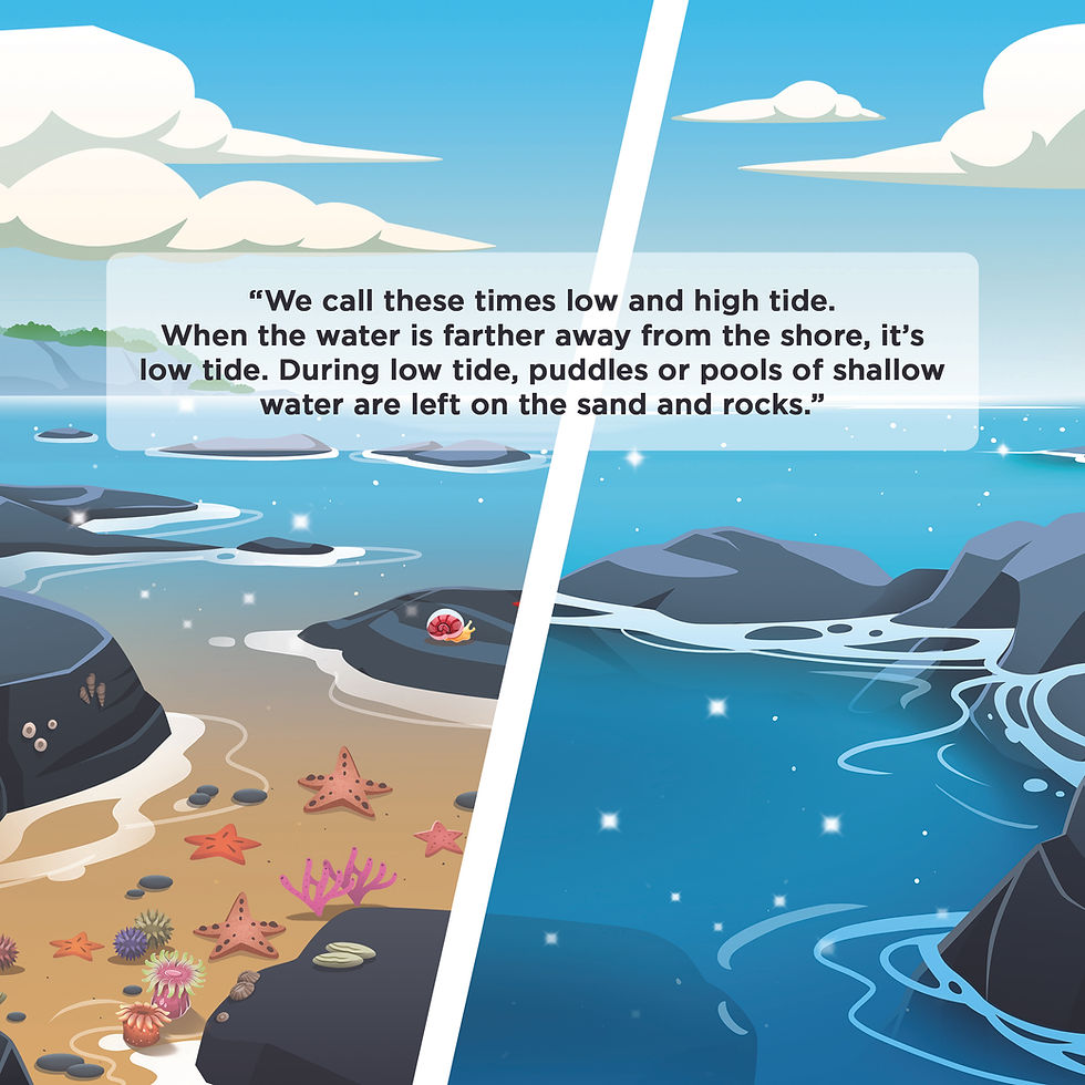 Thumbnail: Let’s Visit the Tide Pools!